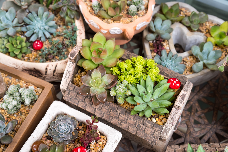 irrigation system Lawn