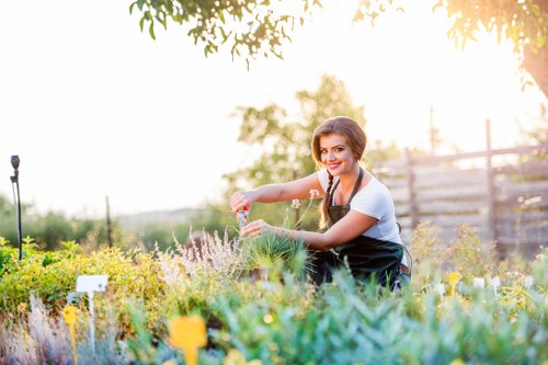 Landscape gardener designing an outdoor garden