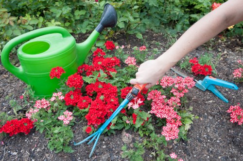 Beautiful garden created by a skilled landscape gardener
